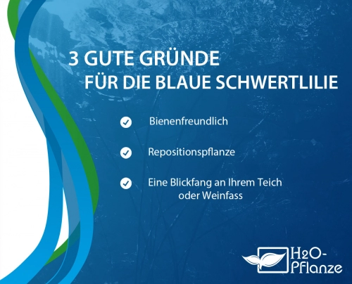 Kaufgründe